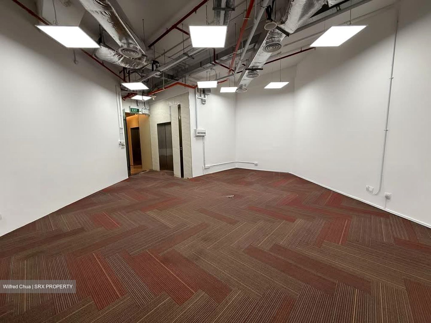 PLUS (D1), Office #554082611